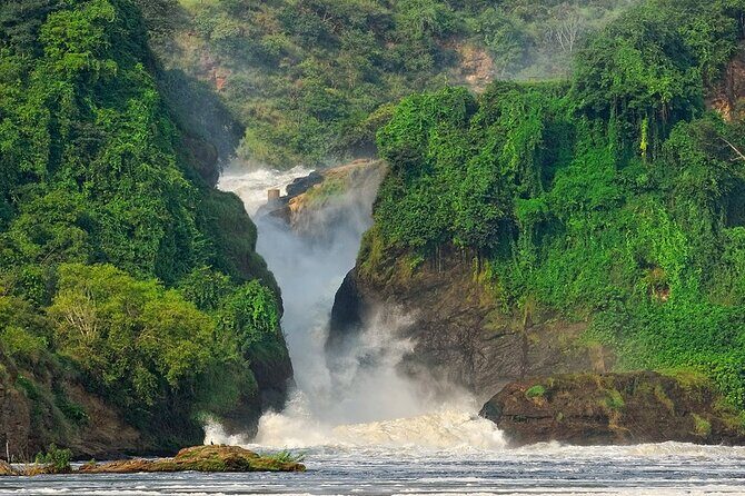 8-Day Murchison Falls, Chimp and Epic Gorilla Trekking - Murchison Falls: game drive, then the 3-hour boat cruise