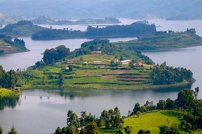 8-Day Murchison Falls, Chimp and Epic Gorilla Trekking - Kibale’s chimp trekking: forest walking with close-to-the-tree payoff