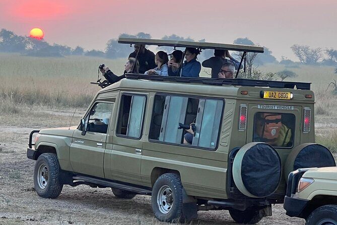 9 Days Uganda Wildlife Safaris, Gorilla Trekking & Hiking - Gorilla and Big Animal Safari in One Route: What You’re Signing Up For