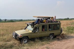 9 Days Uganda Wildlife Safaris, Gorilla Trekking & Hiking - Murchison Falls: Rhino Tracking, Game Drives, and the Nile Boat Cruise