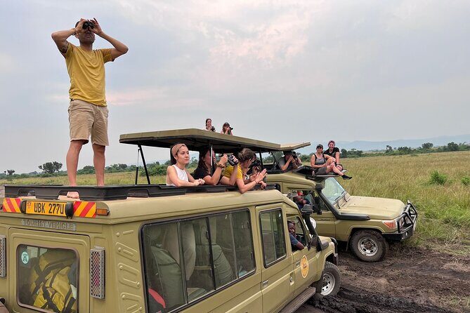 9 Days Uganda Wildlife Safaris, Gorilla Trekking & Hiking - Gorilla Trekking in Bwindi: The One-Hour Rule and Batwa Village Time