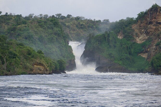 9 Days Uganda Wildlife Safaris, Gorilla Trekking & Hiking - Day 9: Kampala Game Drive and Wrapping Up at Entebbe