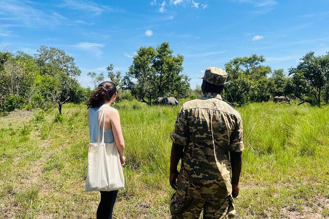Day Tour Of Ziwa Rhino Sanctuary and Wildlife Ranch - ZIWA RHINO TREKKING - Getting to Ziwa From Kampala Without Losing Your Whole Day
