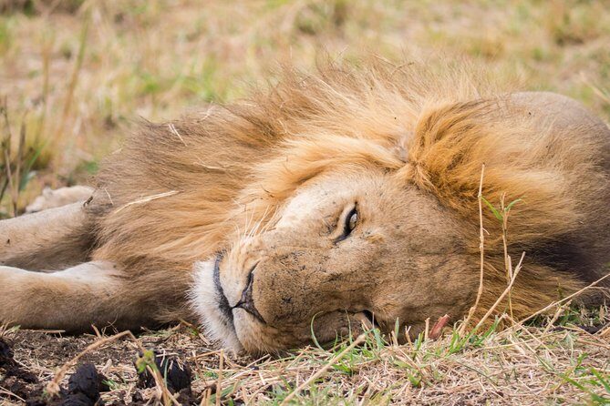 Eight days cultural and wildlife tour in Uganda - Moroto and Karamoja: cultural visits you’ll remember (and how to handle them)