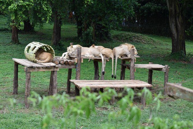 Entebbe Eco Tour - Full Day - The Entebbe Eco Tour rhythm: from 8:30 am to a packed day