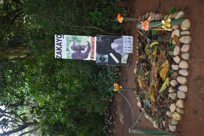 Entebbe Eco Tour - Full Day - Kigungu: a short stop with big religious history