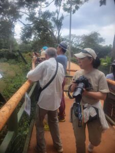 Entebbe: Female-Led Guided Walking Tour - Entebbe local market: fruits, Rolex, and how business actually works
