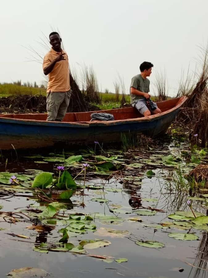 Entebbe: Mabamba Swamp Shoebill Tracking Boat Tour - More Than One Bird: What You Can Spot Along the Way