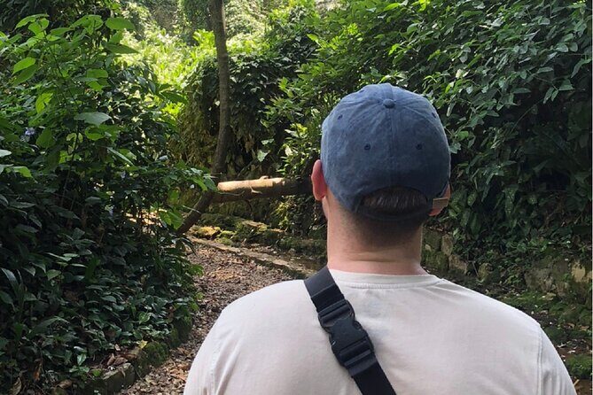 Entebbe Walking Tour (3 Hours) with Zoo and Botanical Gardens Options - Entebbe Crafts Village: buy well, and ask better questions