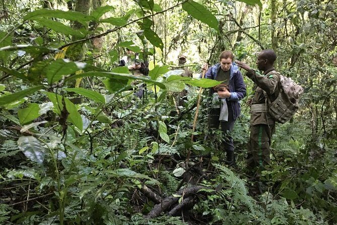 Experience Chimpanzee Trekking in Budongo Forest - Price and value: is $150 per person worth it?