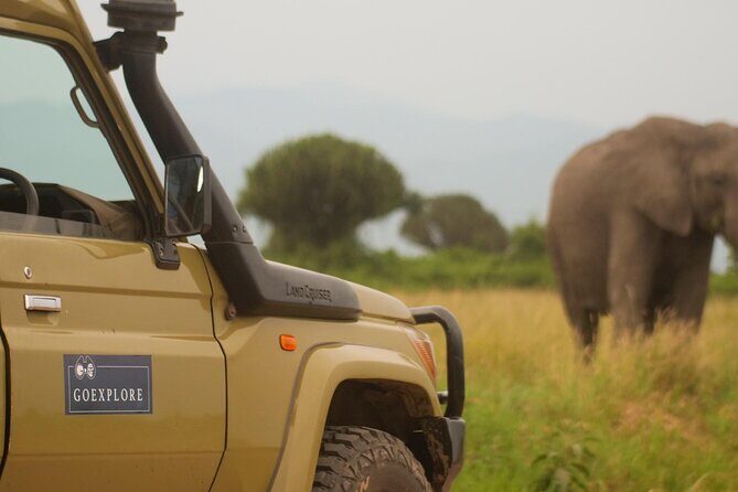 Exploring The Mighty Falls In Uganda - Who should book this Mighty Falls safari (and who should think twice)
