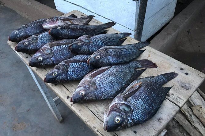 Fishing Village Food Tour & Luwombo Stop - Price at $101.54: does it make sense?