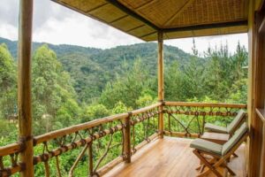 From Kigali: 2-Day Gorilla Trek: Bwindi Nat Park - Mgahinga or Bwindi: your permit decides where you go