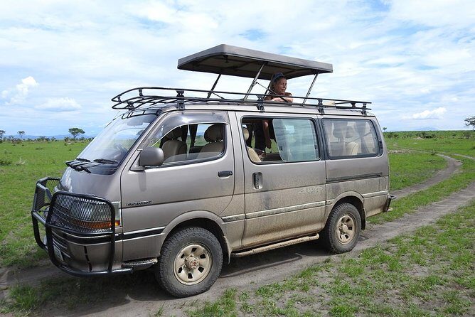 Guided Safari to Murchison Falls from Masindi - Getting to the Falls: Top-or-Bottom Views and That Walkable Wow Factor