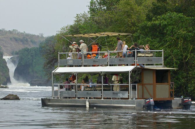 Guided Safari to Murchison Falls from Masindi - Day 1 in Murchison Falls National Park: Big Wildlife Time and Early Starts