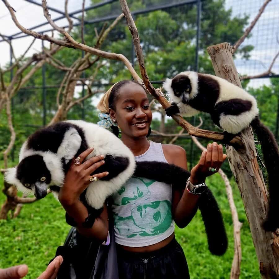 Kampala: Conservation Centre for Wildlife Guided Tour - Key highlights you should care about