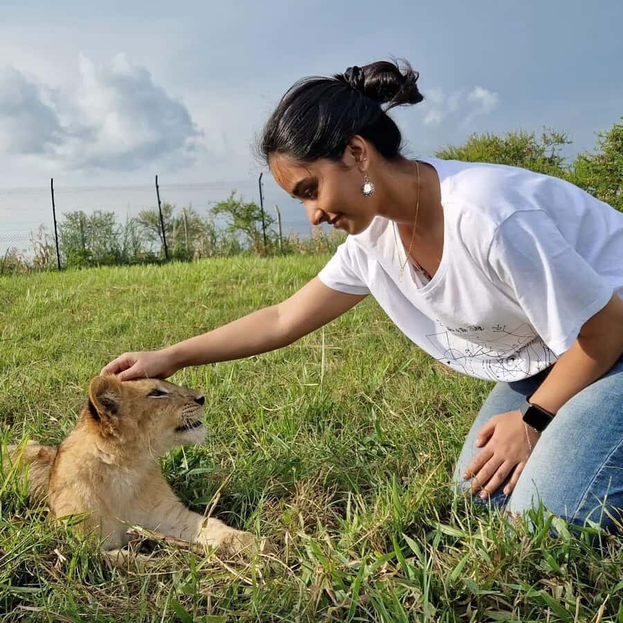 Kampala: Conservation Centre for Wildlife Guided Tour - Baby lion cubs and full-size lions: the moments that stick