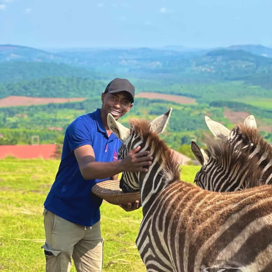 Kampala: Conservation Centre for Wildlife Guided Tour - The adventurous option: walking with lions (and what to prepare for)
