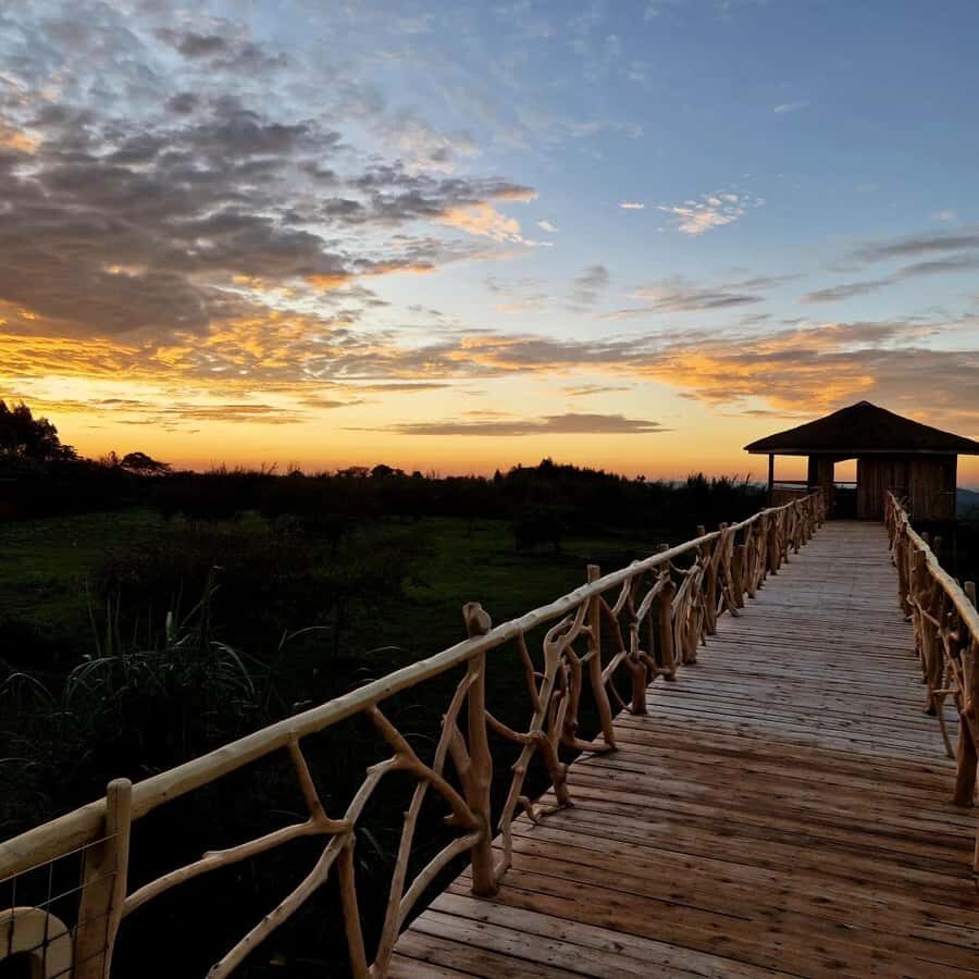 Kampala: Conservation Centre for Wildlife Guided Tour - Price and value: is $290 per person worth it?