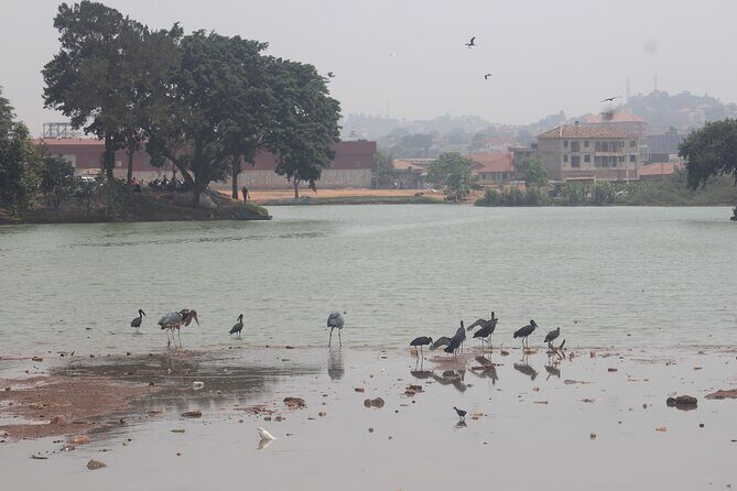 Kampala cultural tours - Should you book Kampala Cultural Tours?