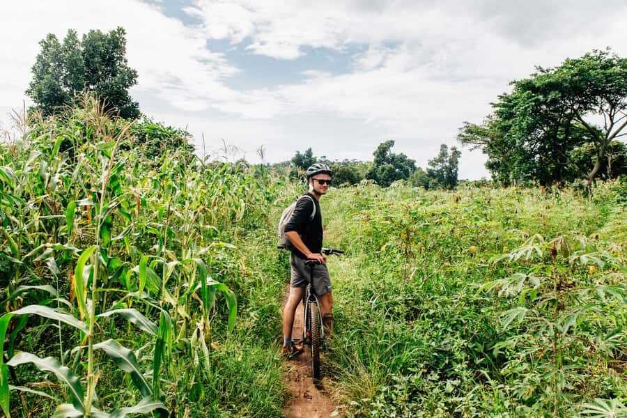 Kampala: Lake Victoria Island Cycling Tour - The trading center snack stop: food break with local texture