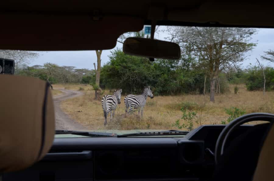 Lake Mburo National Park with Equator, Game Drive & Cruise - Reliability and guide quality: what to expect, and what to watch