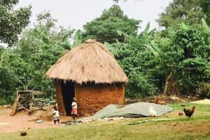 Lake Victoria Island Cycling Tour from Kampala - The 3-hour rhythm: what the ride feels like