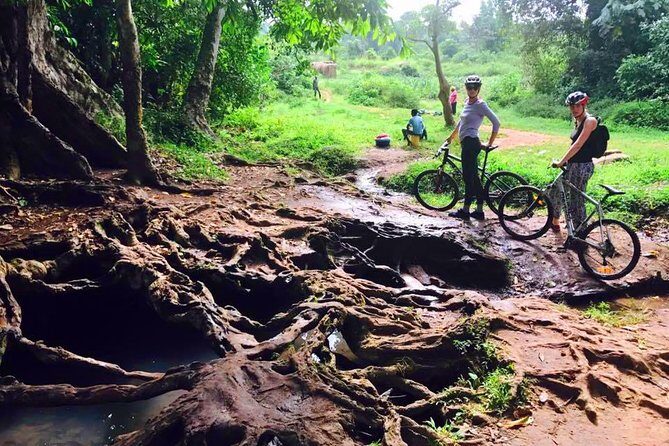 Lake Victoria Island Cycling Tour from Kampala - Guides and pace: the difference between leisurely and doable