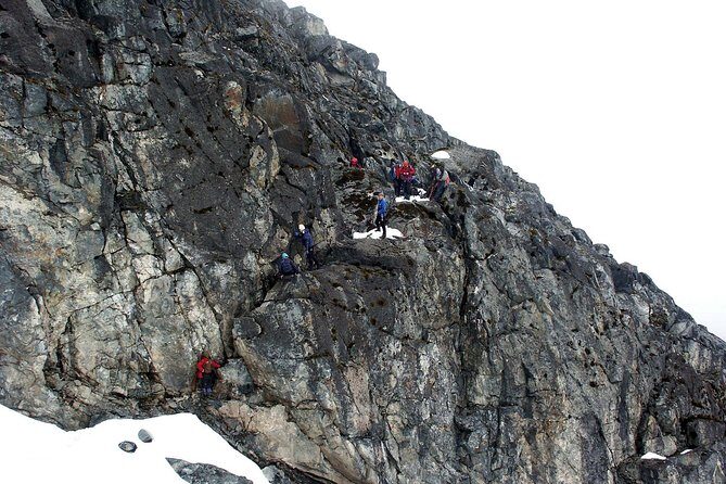 Mountain Rwenzori Trekking Uganda 9 Day Safari - Scott Eliot Pass and Elena hut: the step into high pass altitude