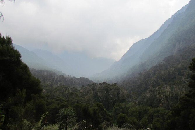 Mountain Rwenzori Trekking Uganda 9 Day Safari - Freshfield Pass and Guy Yeoman hut: wet trails, big panoramas, and Kabamba rock shelters