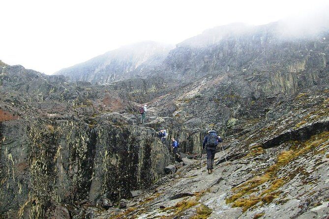 Mountain Rwenzori Trekking Uganda 9 Day Safari - Guy Yeoman to Nyabitaba: the Mubuku River descent and your last hut night