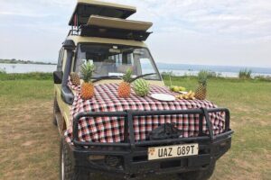 Murchison Falls National Park - 3 Days - Price and what you’re really paying for