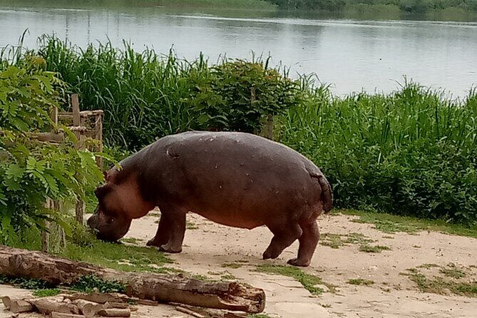 Private 3-Day Tour in Queen Elizabeth Park Safari - Queen Elizabeth safari starts with a 5–6 hour Uganda road trip
