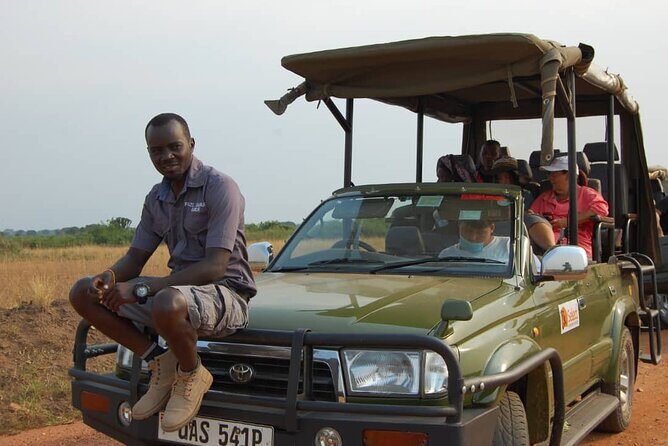 Queen Elizabeth Open Safari Jeeps for game drives. - Quick reasons this jeep safari is worth your time