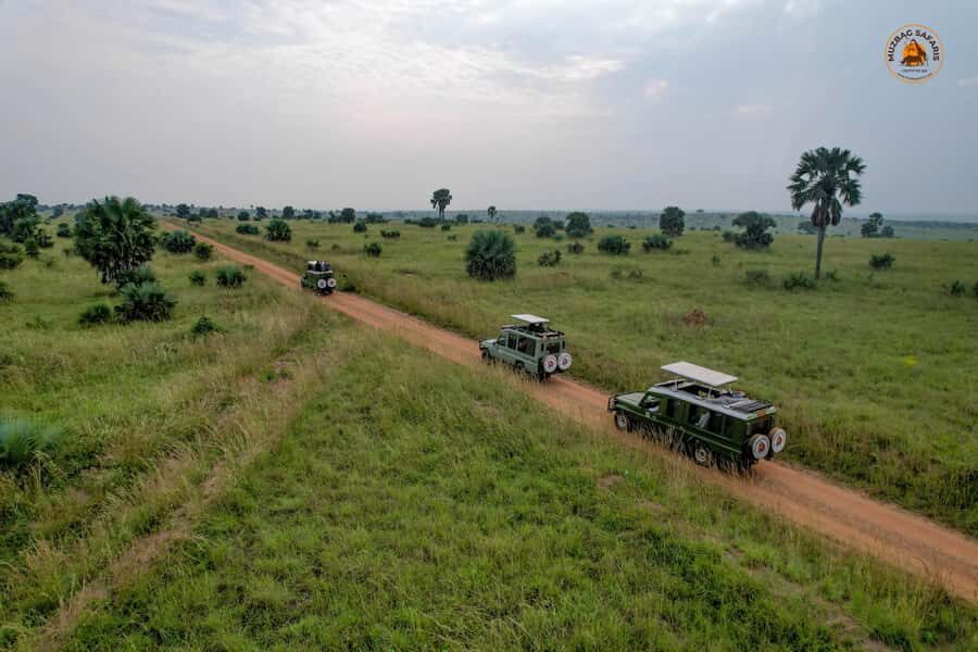 The Big5 3 Days Wildlife Adventure Experience in Uganda. - Key things that make this safari worth your time