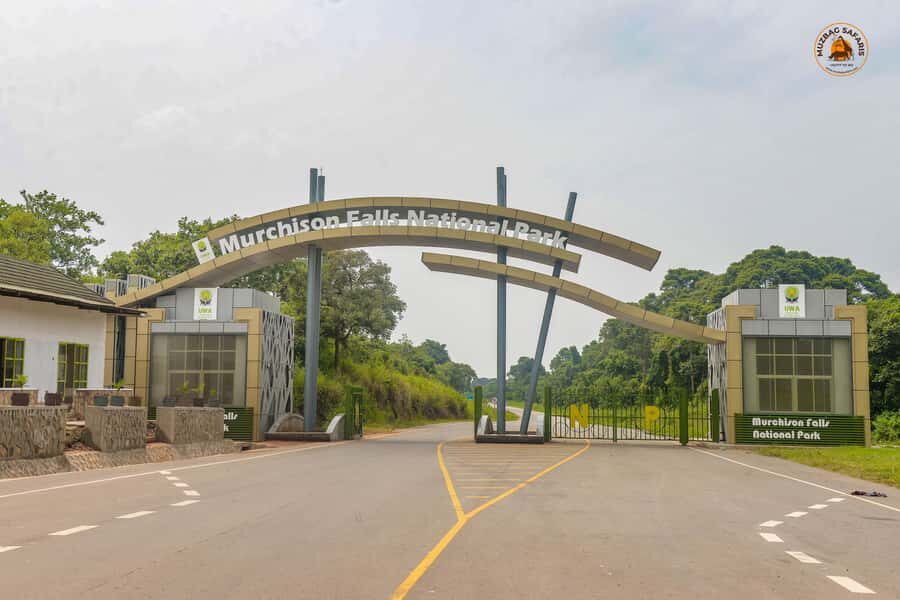 The Big5 3 Days Wildlife Adventure Experience in Uganda. - Murchison Falls from above: the 45m drop and the 8m gorge in real life