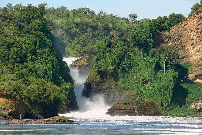 Three Days Murchison Falls National Park Tour in Uganda - Day 1: Ziwa Rhino Sanctuary, then Kichombanyobo Gate and the falls