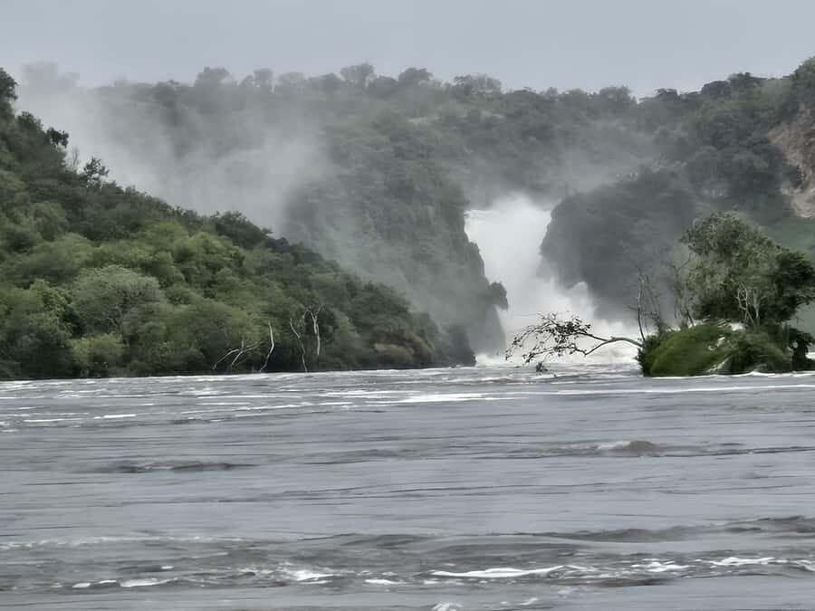 Uganda: 2-Day Murchison Falls Park Safari with Boat cruise - Who should book this safari, and who should skip it