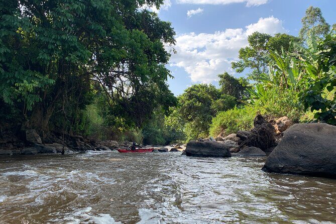 Uganda Jungle Rafting - Key things to know before you go