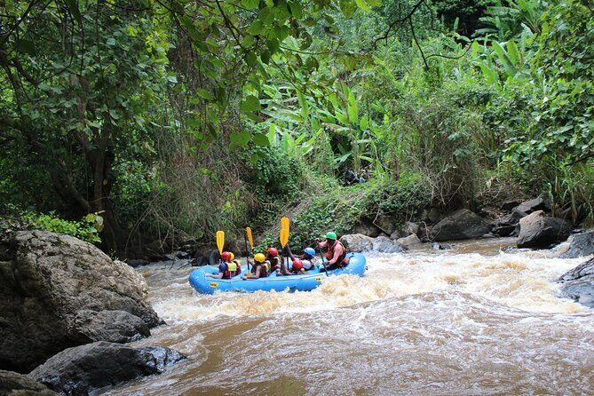 Uganda Jungle Rafting - Jungle rafting on the Birira: wildlife, birds, and that jungle cruise vibe