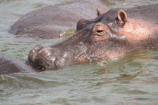 Uganda Wildlife Holiday - 8 Days - Day 6: The Kigezi Highlands road trip to Bwindi
