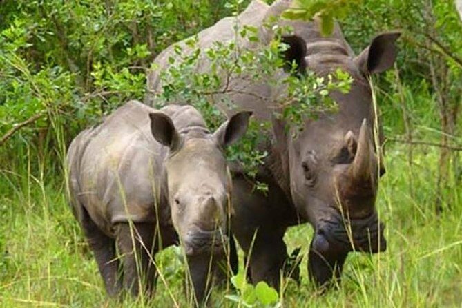 Ziwa Rhino Sanctuary - Key points at a glance